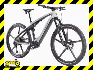 Rotwild Porsche eBike Sport