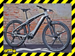 Rotwild Porsche eBike Sport 1