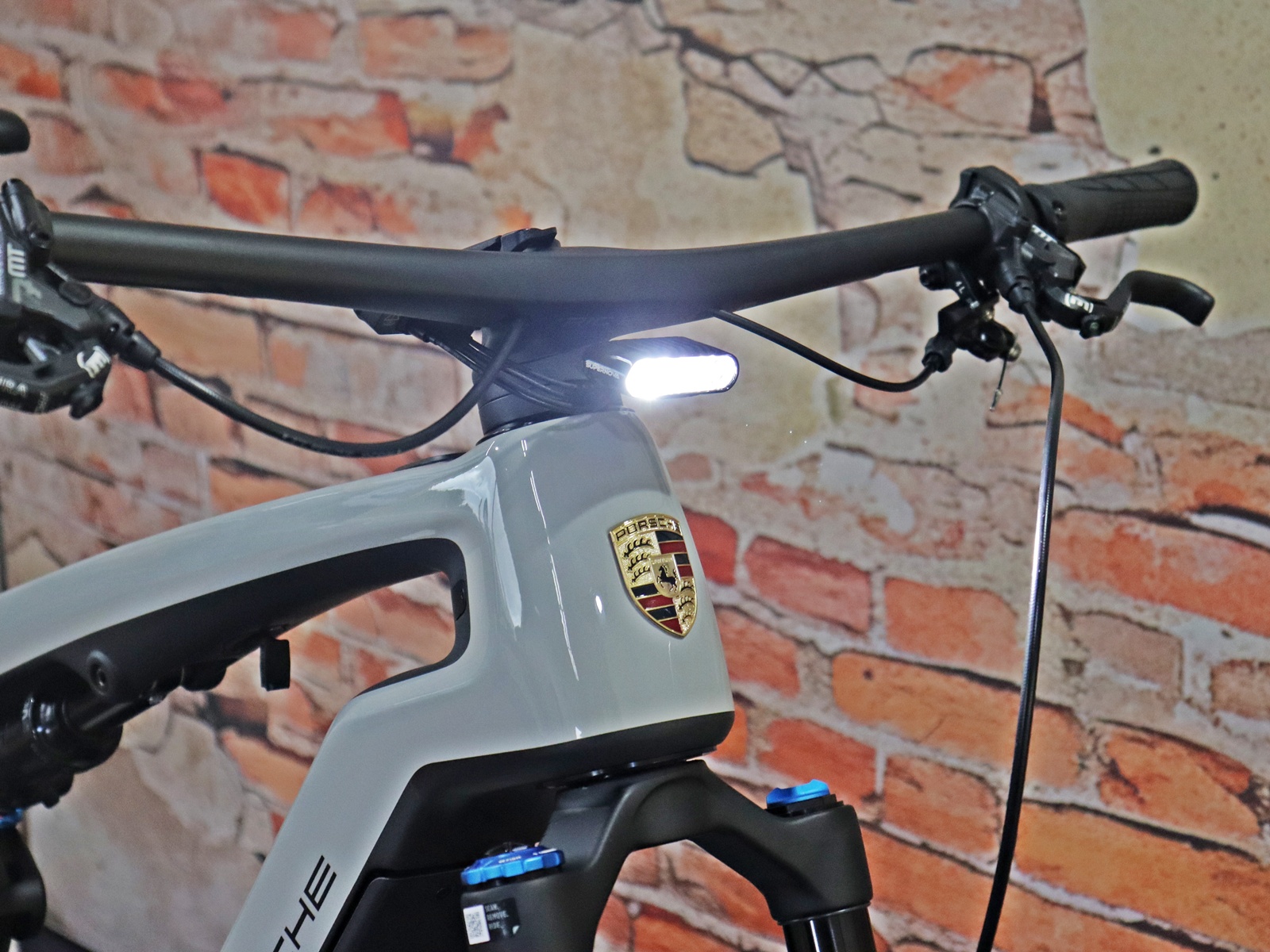 Rotwild Porsche eBike Sport – Bild 8