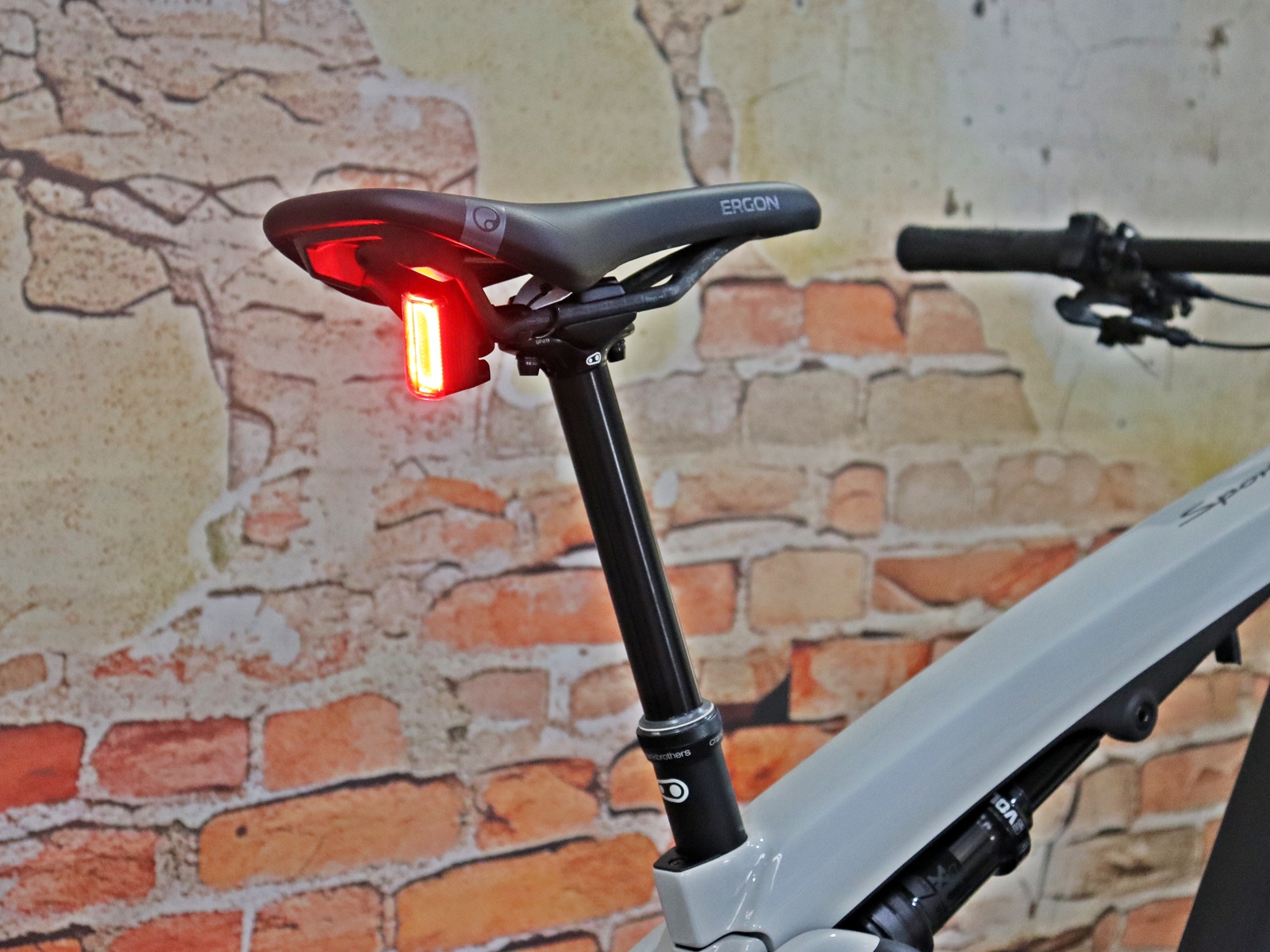 Rotwild Porsche eBike Sport – Bild 11
