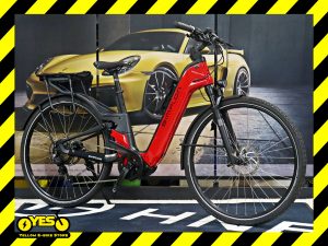 Simplon Chenoa Max Uni Rohloff E14 1