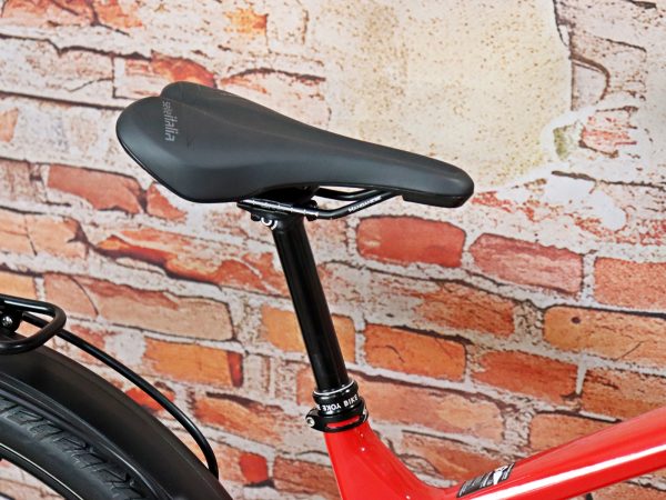 Simplon Stomp Pmax 17