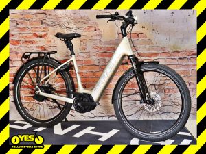 TREK District+ 5 Lowstep 1