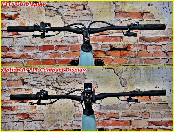 Simplon Rapcon Pinion E1.12 Core 19
