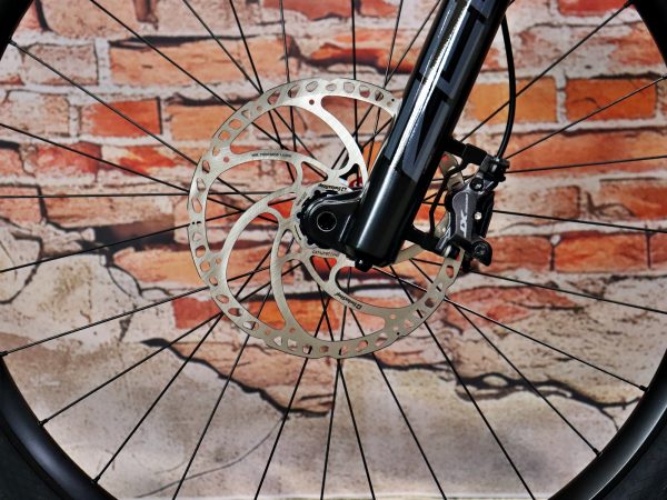 Simplon Rapcon Pinion E1.12 Core 10