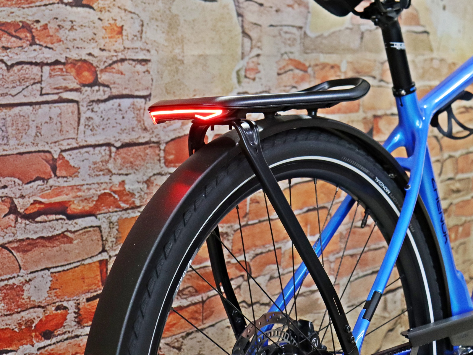 Simplon Chenoa:e High Rohloff E14 ABS 11