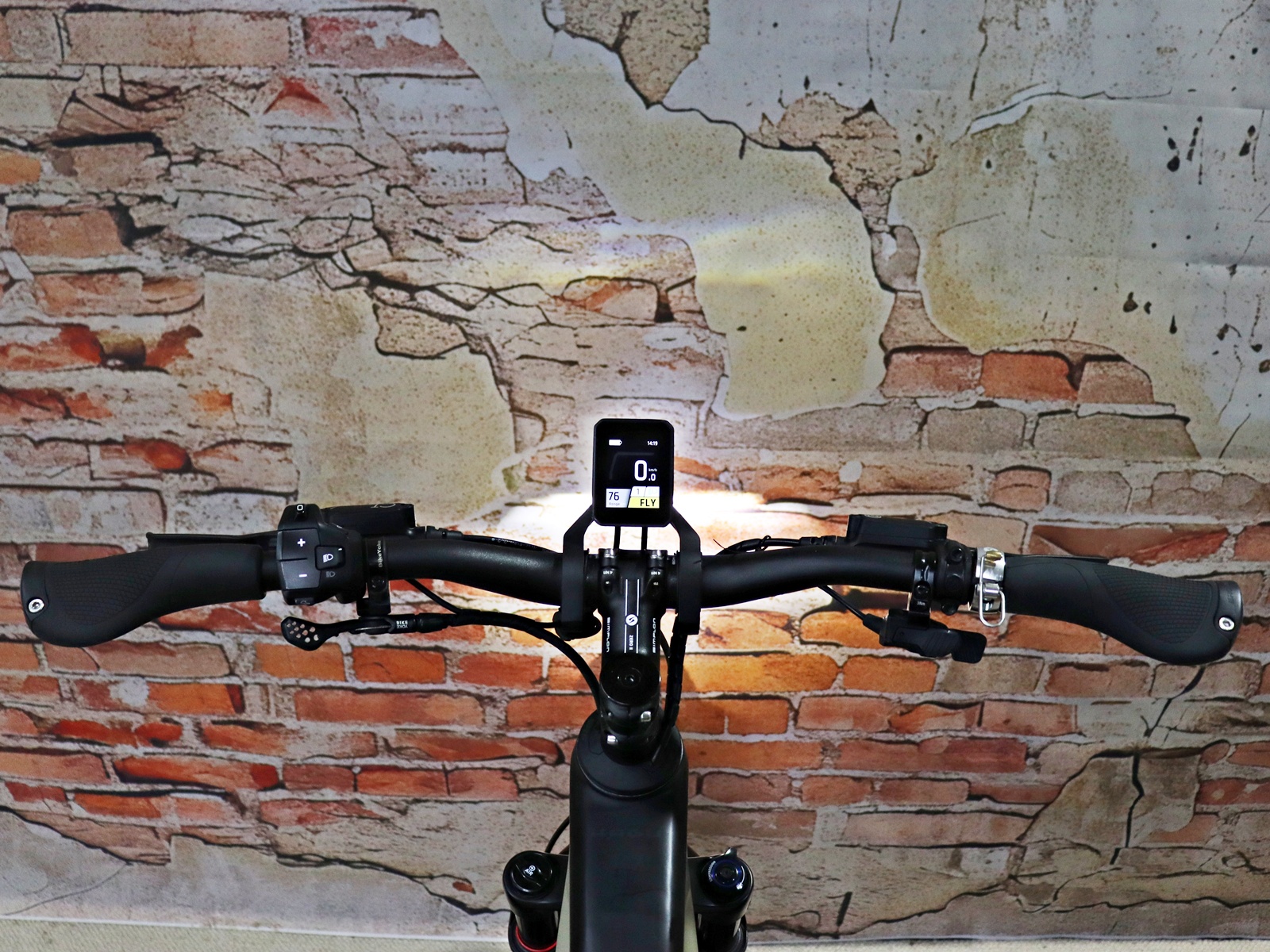 Simplon KAGU :e Pinion E 1.12 High 720Wh 19