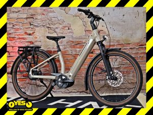 Diamant Suvea Style 600 800 Lehmgeld