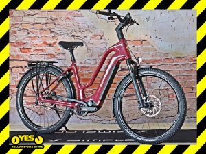 Simplon Kagu :E Pinion E1.12 MID