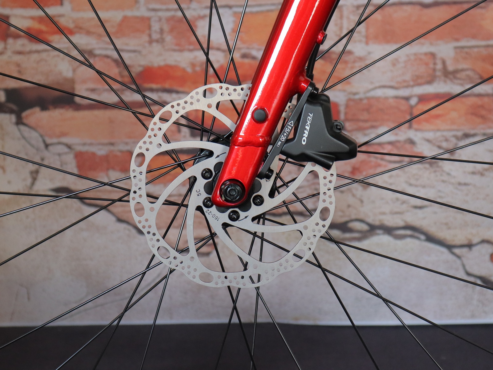TREK FX 2 Stepover – Bild 14