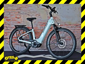 Simplon Kagu :E Low Enviolo 1