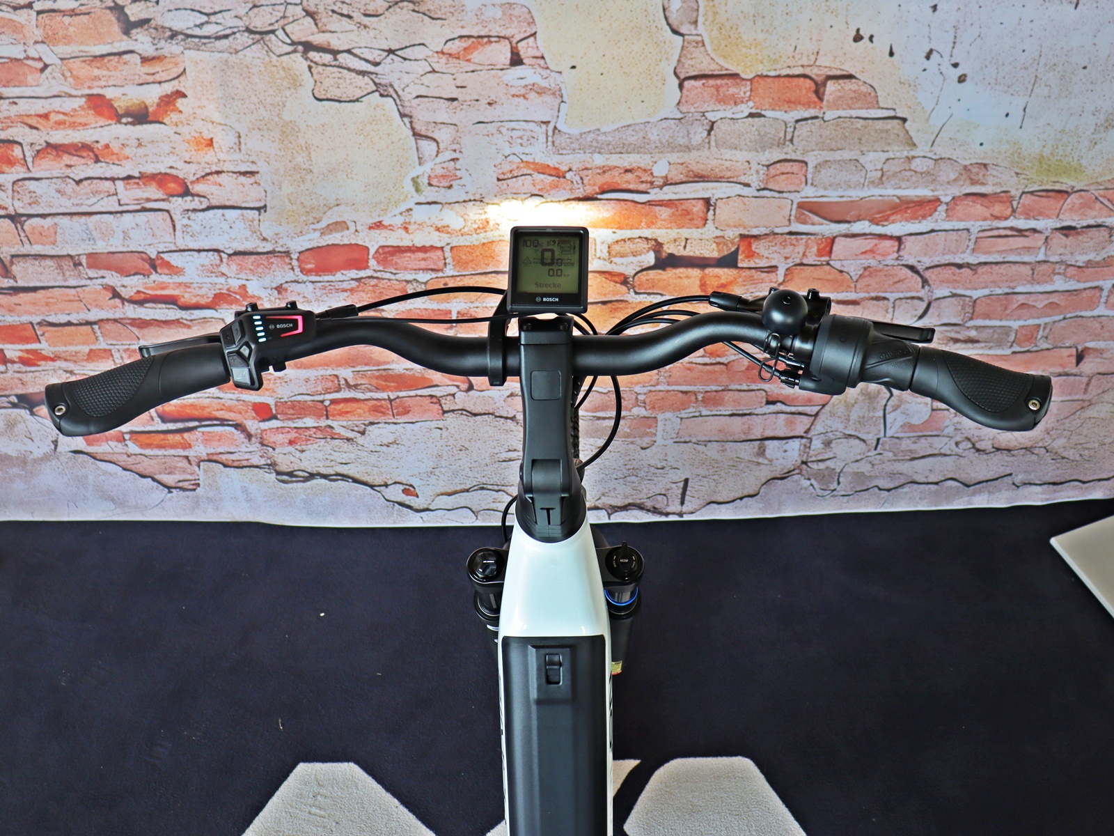 Simplon Kagu :E Low Enviolo 21