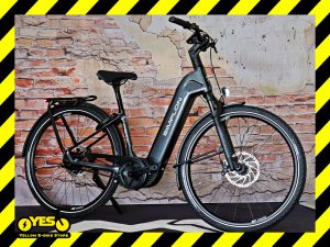 Simplo Chenoa E Low Premium+ Rohloff E14 2.0 1