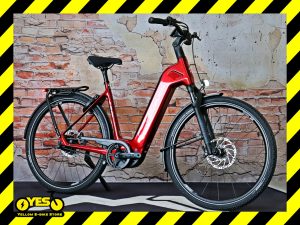 Simplo Chenoa E Low Premium+ Rohloff E14 2.0 1