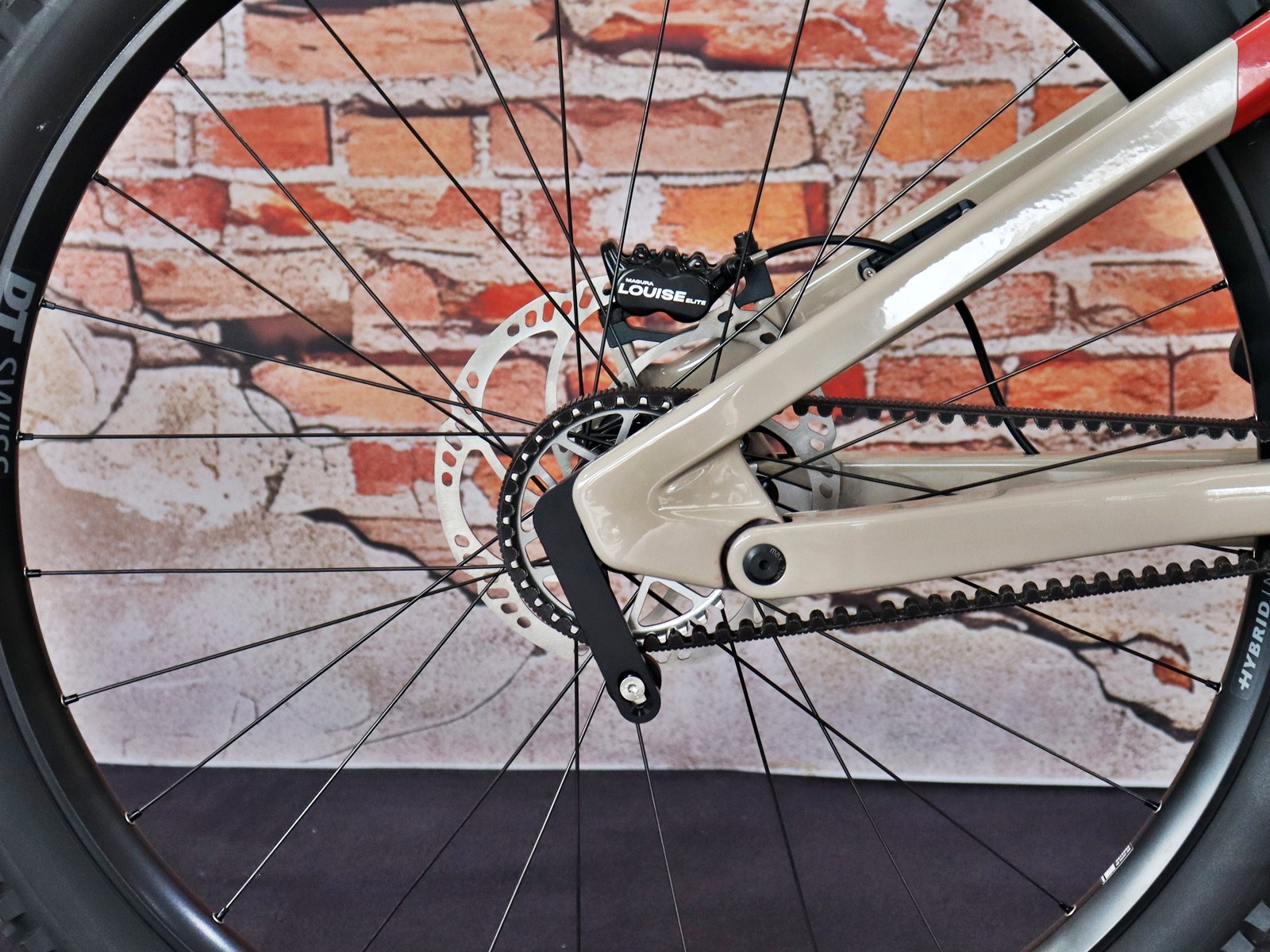 Simplon Rapcon: E Pinion Expert E1.12 – Bild 11