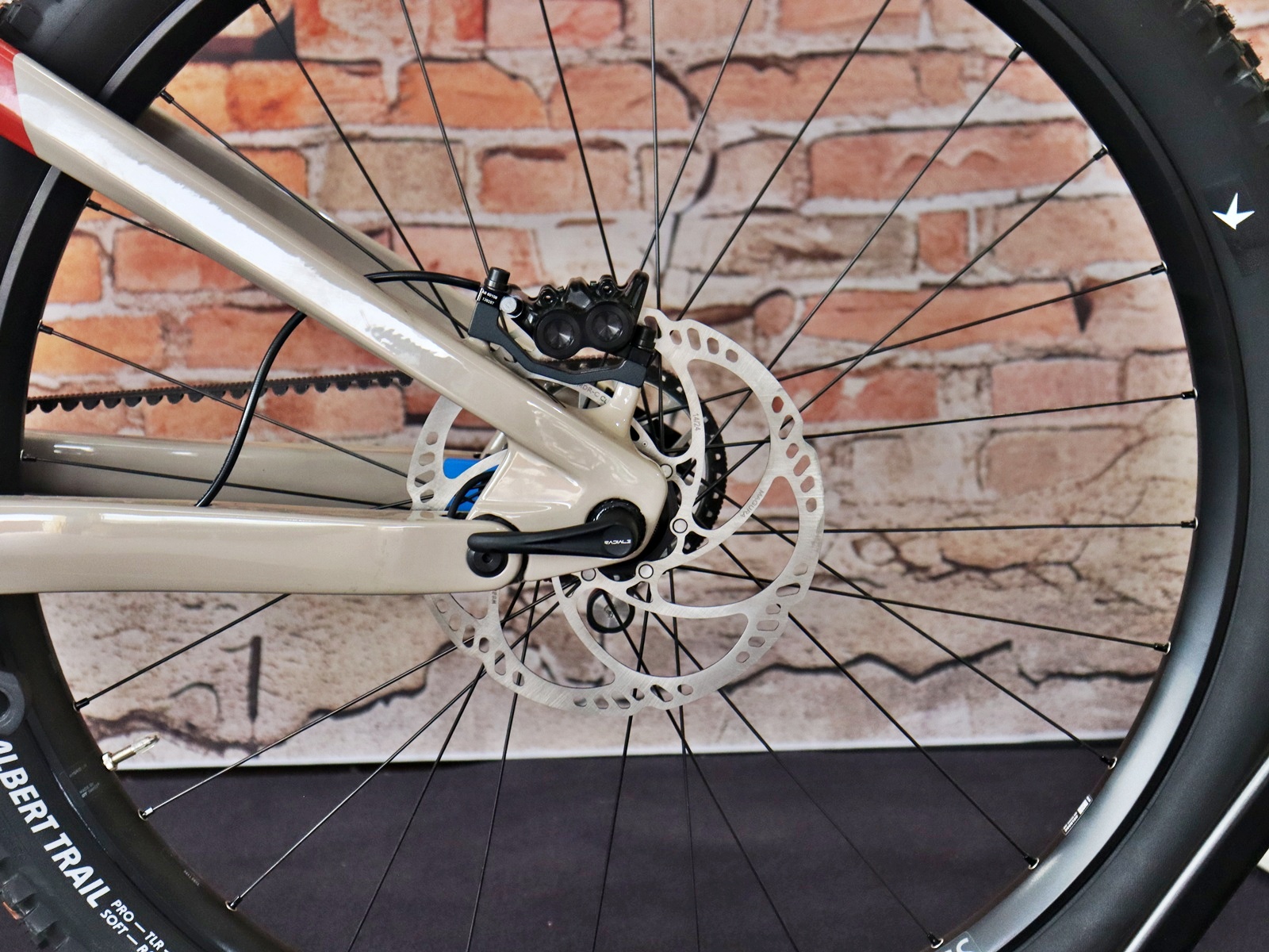 Simplon Rapcon: E Pinion Expert E1.12 – Bild 17