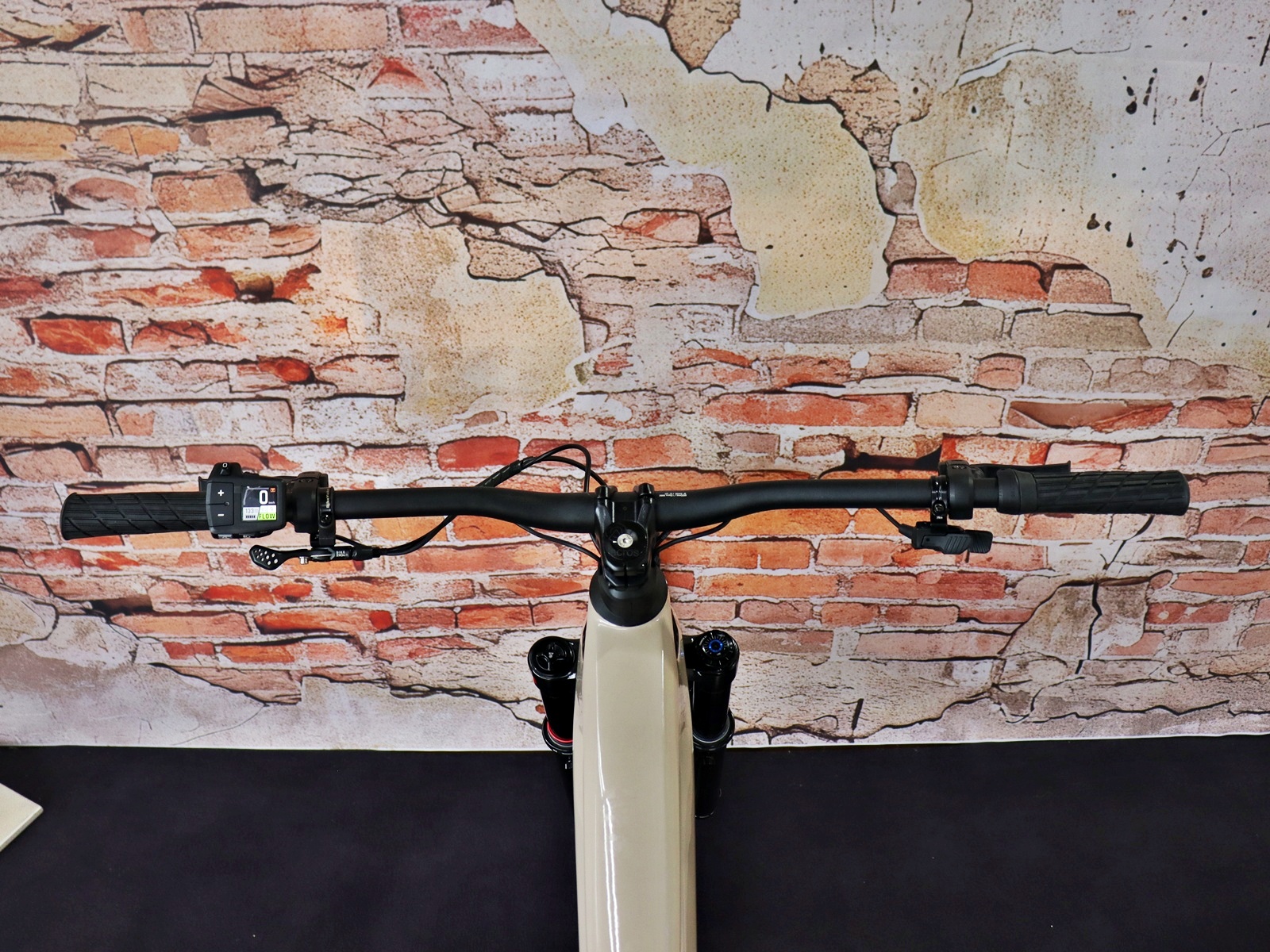 Simplon Rapcon: E Pinion Expert E1.12 – Bild 19
