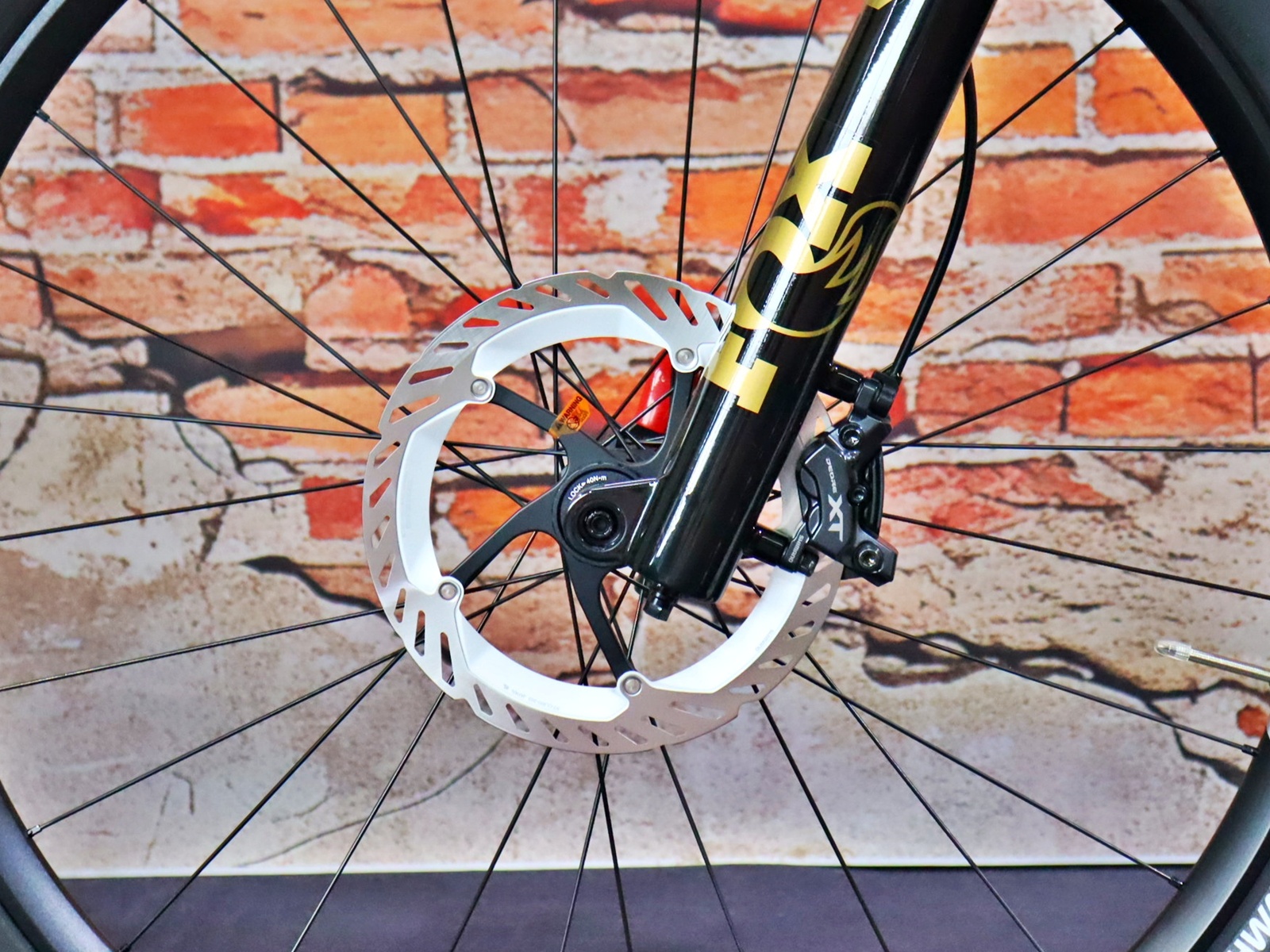 Simplon Rapcon: E Ultimate – Bild 15